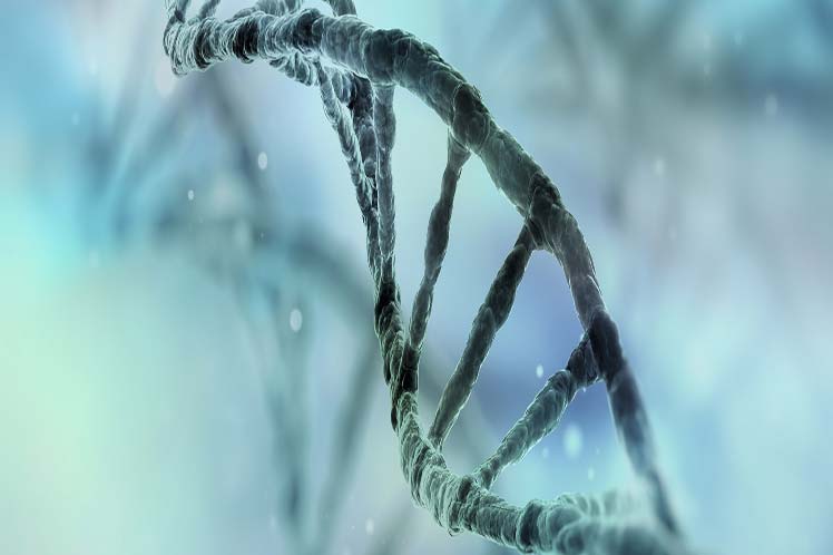 Japón planea estudiar genomas completos para prevenir el cáncer Japón planea estudiar genomas completos para prevenir el cáncer