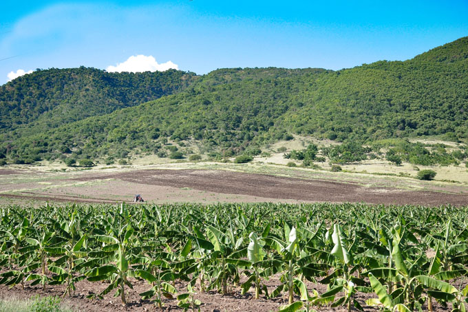 Convertir a Pilón en un polo productivo Convertir a Pilón en un polo productivo