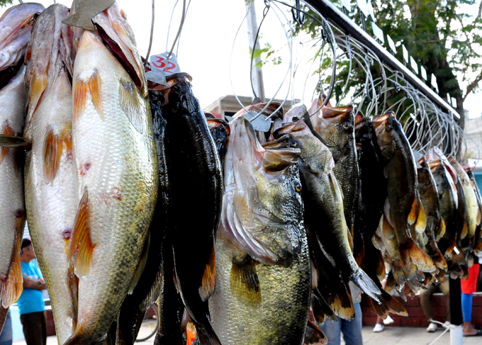 Animarán más de 40 concursantes Nacional de pesca de la trucha Animarán más de 40 concursantes Nacional de pesca de la trucha