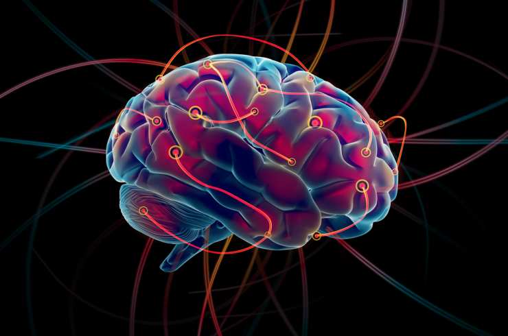 Proceso de reconfiguración del cerebro ocurre en la adolescencia Proceso de reconfiguración del cerebro ocurre en la adolescencia