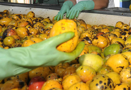 Impulsan producciones de conservas y vegetales Impulsan producciones de conservas y vegetales