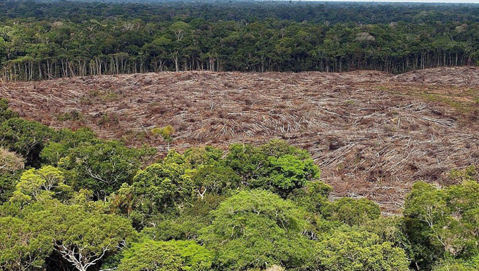 Deforestación en Amazonia de Brasil aumenta 25 por ciento (+video) Deforestación en Amazonia de Brasil aumenta 25 por ciento (+video)