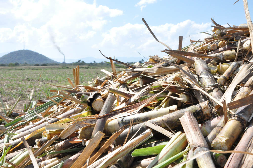 Tarea posible en la agroindustria azucarera Tarea posible en la agroindustria azucarera