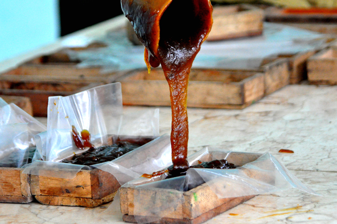 Polígono de la industria alimenticia: De lo diverso y lo óptimo (+fotos) Polígono de la industria alimenticia: De lo diverso y lo óptimo (+fotos)