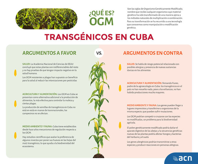 Organismos genéticamente modificados, entre la polémica y la necesidad (+ Infografía) Organismos genéticamente modificados, entre la polémica y la necesidad (+ Infografía)