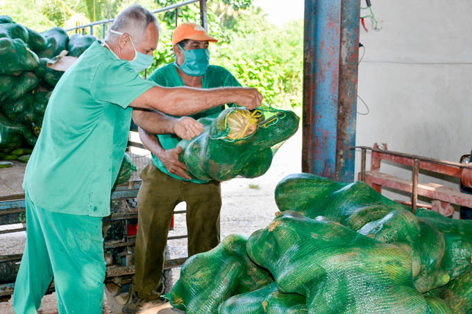 Busca mayor eficiencia UEB de Frutas Selecta Granma Busca mayor eficiencia UEB de Frutas Selecta Granma