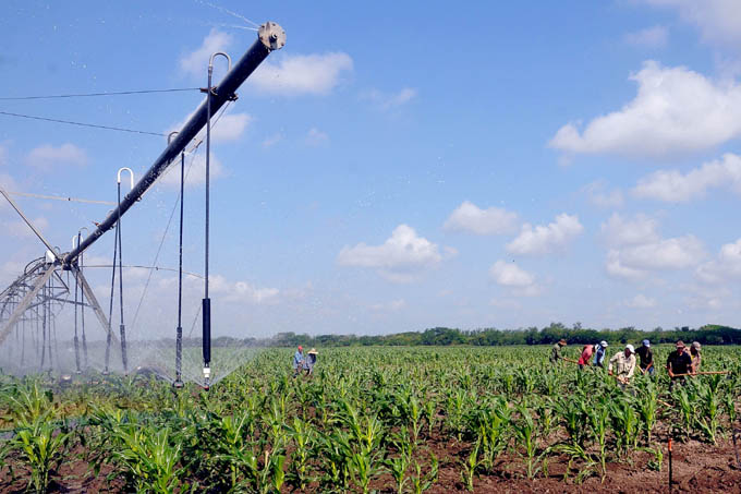 Claves de la nueva política de comercialización de productos agrícolas y otras novedades del campo (+ Video) Claves de la nueva política de comercialización de productos agrícolas y otras novedades del campo (+ Video)