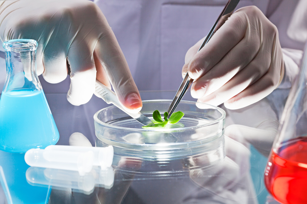 Promueve Cuba inversión extranjera para desarrollo de la biotecnología Promueve Cuba inversión extranjera para desarrollo de la biotecnología