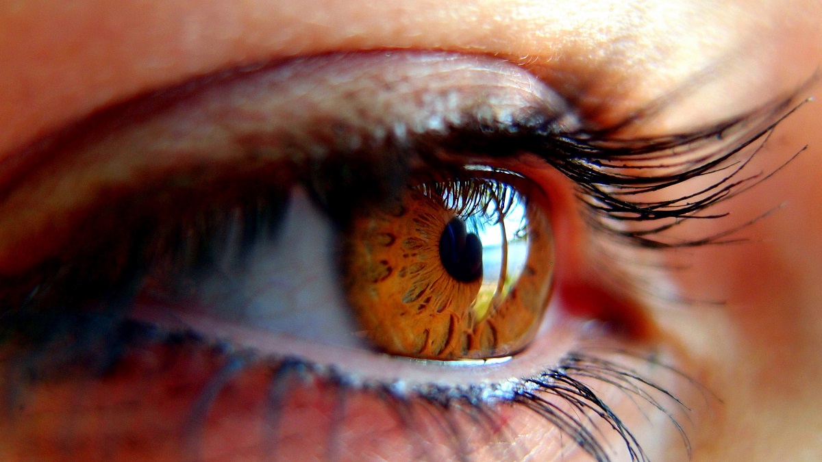 Cuba a la vanguardia en el tratamiento del glaucoma Cuba a la vanguardia en el tratamiento del glaucoma