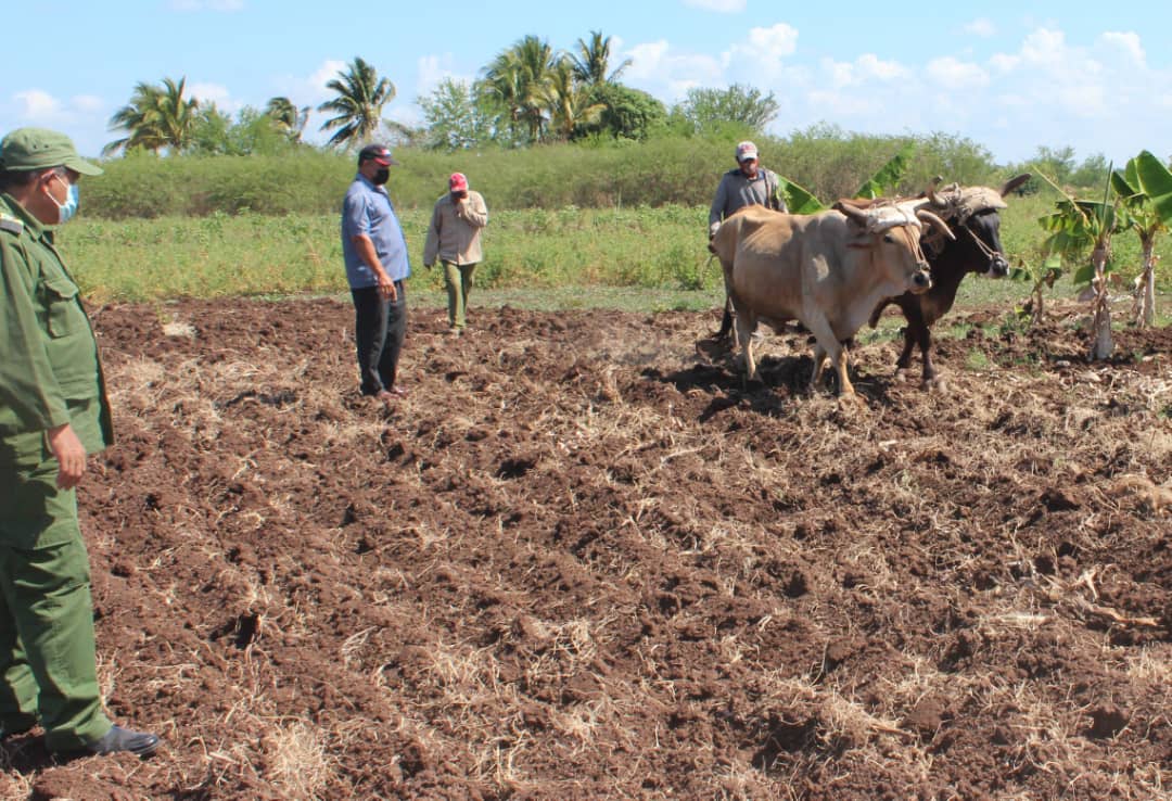 Recorren principales polos productivos en Guisa Recorren principales polos productivos en Guisa