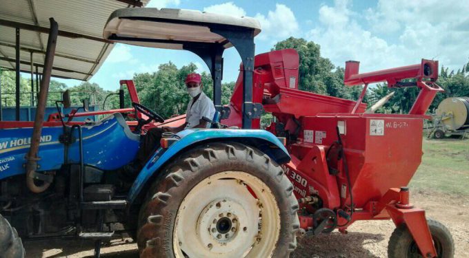 Cuba busca elevar la producción de alimentos Cuba busca elevar la producción de alimentos