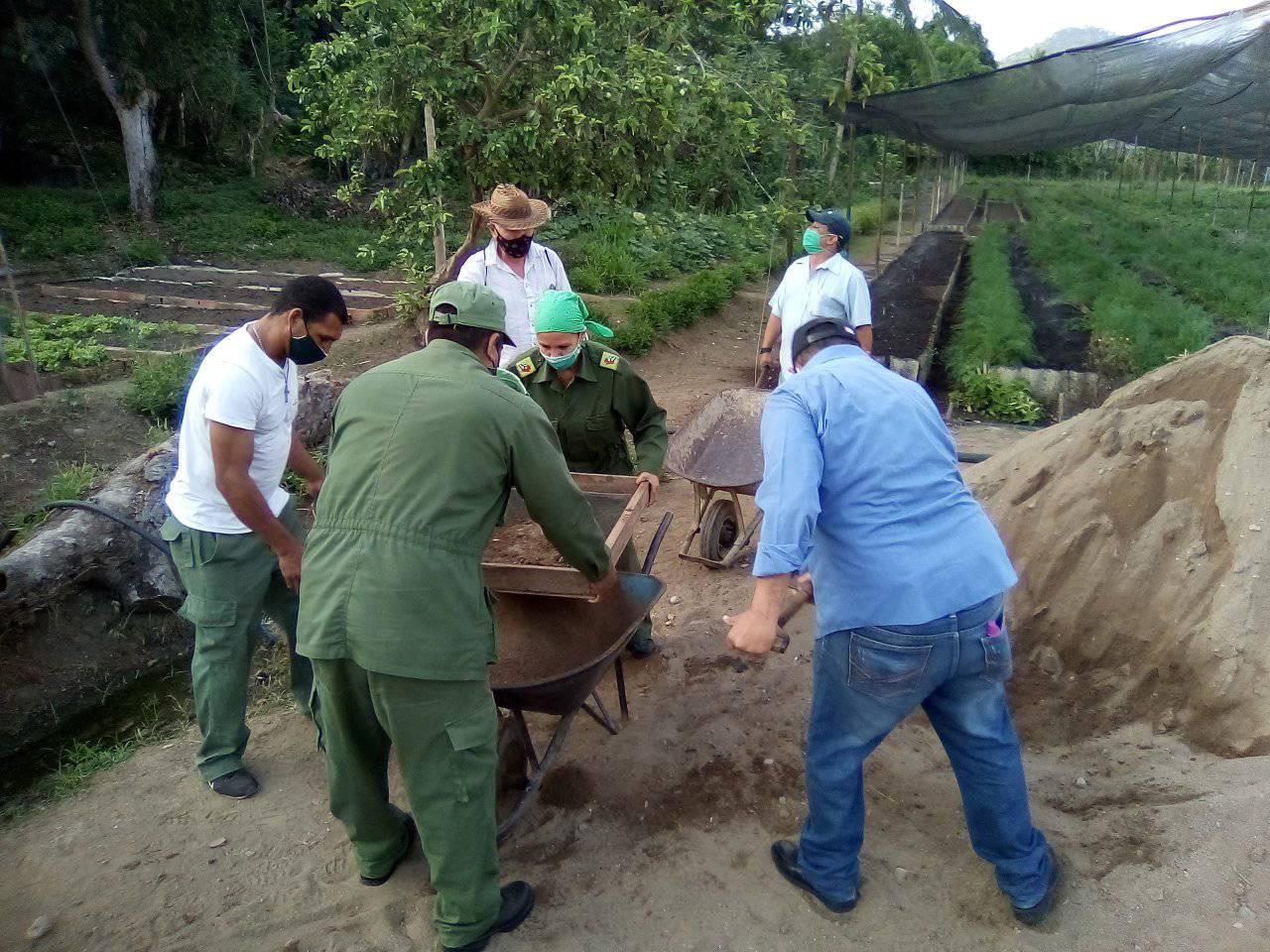 Realizan en Granma trabajo voluntario convocado por la CTC (+ fotos) Realizan en Granma trabajo voluntario convocado por la CTC (+ fotos)