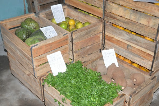 Nuevas medidas para comercializar productos agropecuarios en Cuba Nuevas medidas para comercializar productos agropecuarios en Cuba