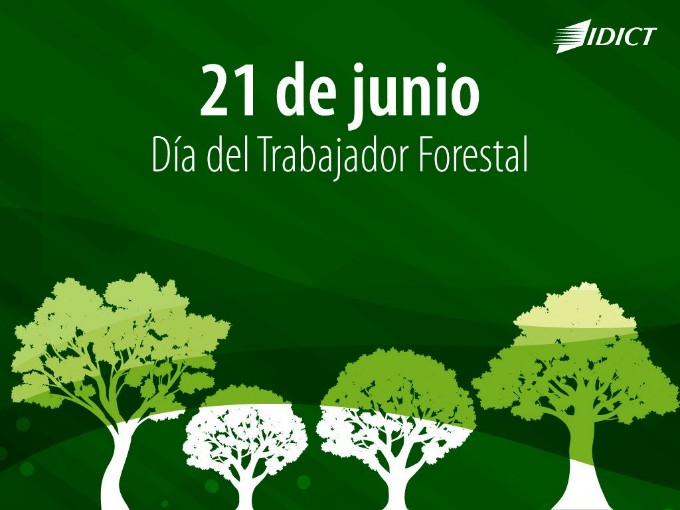 Reconoce presidente cubano labor de trabajadores forestales en su día Reconoce presidente cubano labor de trabajadores forestales en su día