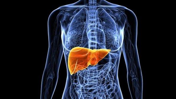 Alertan sobren dos peligrosas patologías hepáticas Alertan sobren dos peligrosas patologías hepáticas