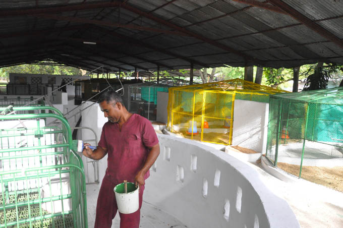 Intensifican preparativos por Feria agropecuaria Granma 2015 Intensifican preparativos por Feria agropecuaria Granma 2015