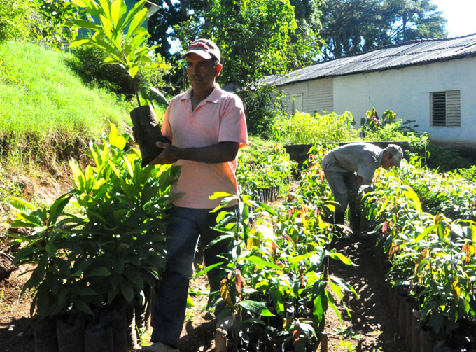 Estación experimental Guisa: Al servicio del desarrollo agroforestal Estación experimental Guisa: Al servicio del desarrollo agroforestal