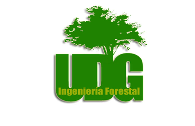 Aportes investigativos avalan acreditación de la carrera de Ingeniería Forestal