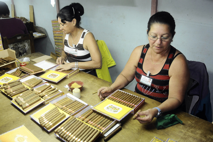 Tabacaleros de Granma trabajan  por mantener posición de vanguardia en Cuba