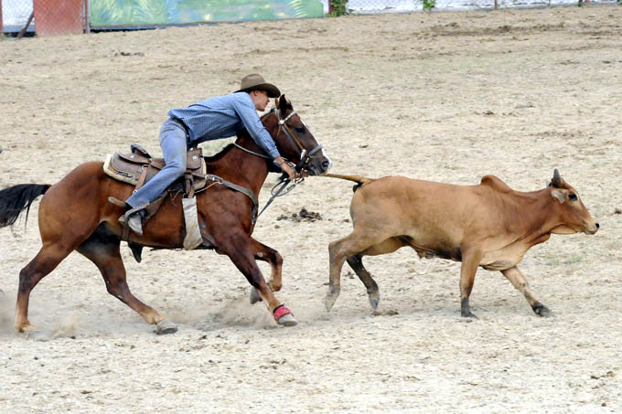 Realizan feria agropecuaria en Granma