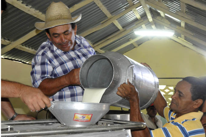 Granma mantiene  crecimiento en producción de leche de vaca