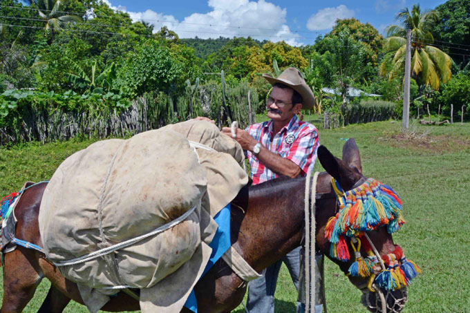 Encuentro Nacional de Arrieros, una fiesta en serranía de Granma