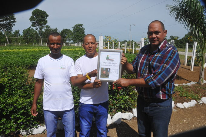 Granma celebra el Día del trabajador forestal con mayor cobertura boscosa Granma celebra el Día del trabajador forestal con mayor cobertura boscosa