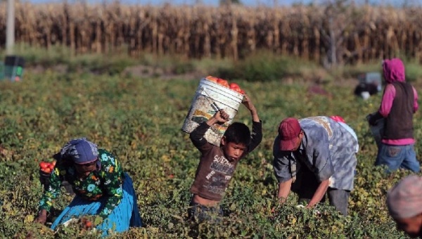 Más del 80% de los hijos de migrantes en México no asisten a la escuela