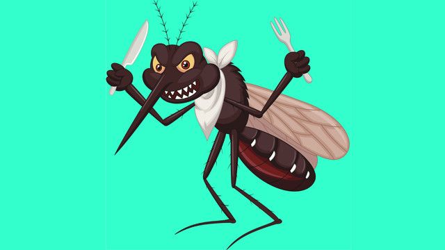 Científicos desarrollan trampa con olor humano contra mosquito de malaria en Africa Científicos desarrollan trampa con olor humano contra mosquito de malaria en Africa