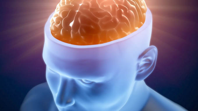 Desmienten teoría de uso del diez por ciento del cerebro humano