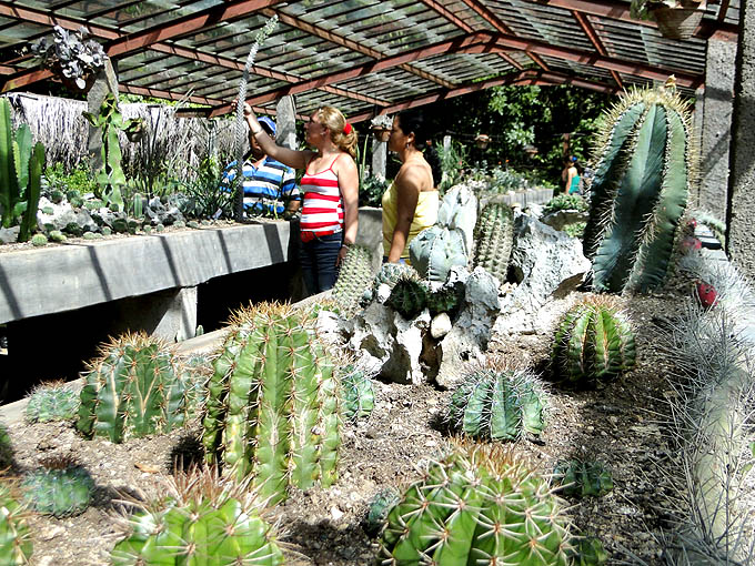 Jardín “salvaje” sigue creciendo en Granma (+ videos) Jardín “salvaje” sigue creciendo en Granma (+ videos)