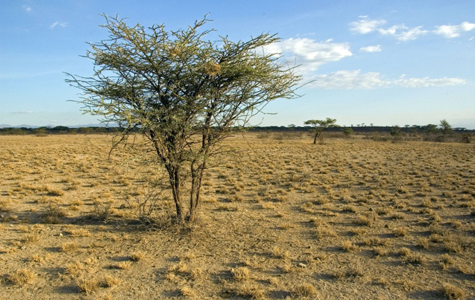 2016, año de altas temperaturas y bajo accionar 2016, año de altas temperaturas y bajo accionar