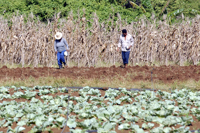 Lanzan convocatoria a Congreso Internacional Agropecuario Lanzan convocatoria a Congreso Internacional Agropecuario