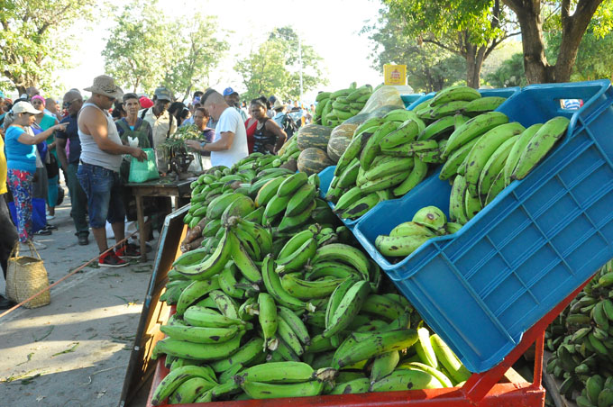 Destacan celebración de Feria especial de fin de año en Granma Destacan celebración de Feria especial de fin de año en Granma