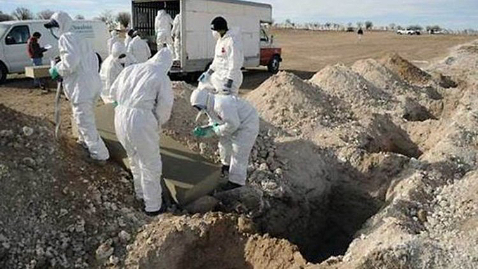 Más de 800 fosas clandestinas registradas en México Más de 800 fosas clandestinas registradas en México