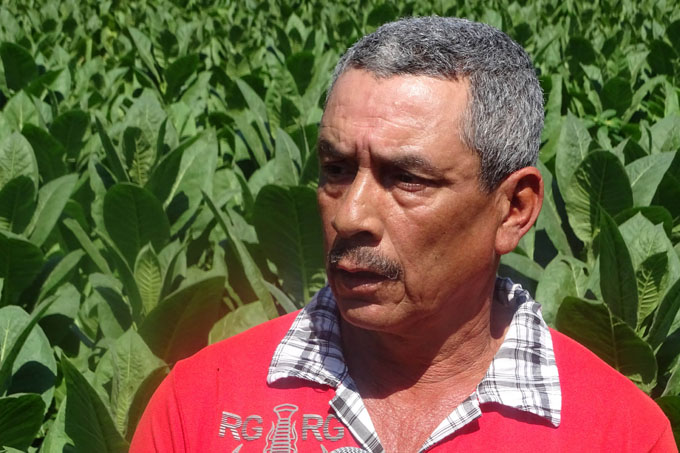 Norberto Pacheco creció con el trabajo Norberto Pacheco creció con el trabajo