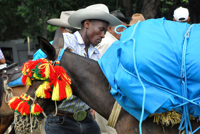 Destacan vitalidad sociocultural de la tradición arriera en Buey Arriba (fotos y videos) Destacan vitalidad sociocultural de la tradición arriera en Buey Arriba (fotos y videos)