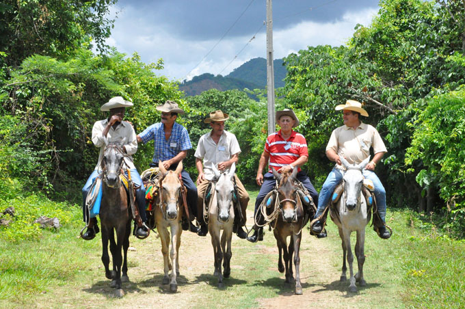 Sesionará Encuentro nacional de arrieros Sesionará Encuentro nacional de arrieros