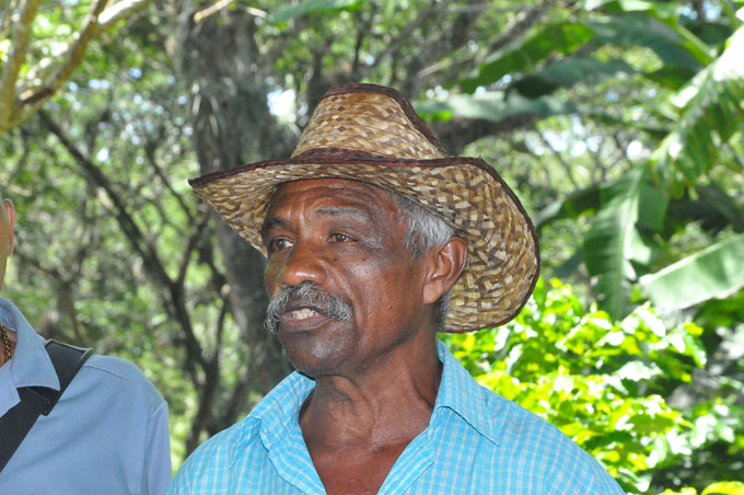 Busca crecer la mayor productora de café en Buey Arriba, Granma