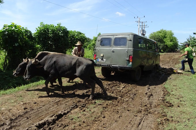 Adopta la Agricultura medidas para la recuperación