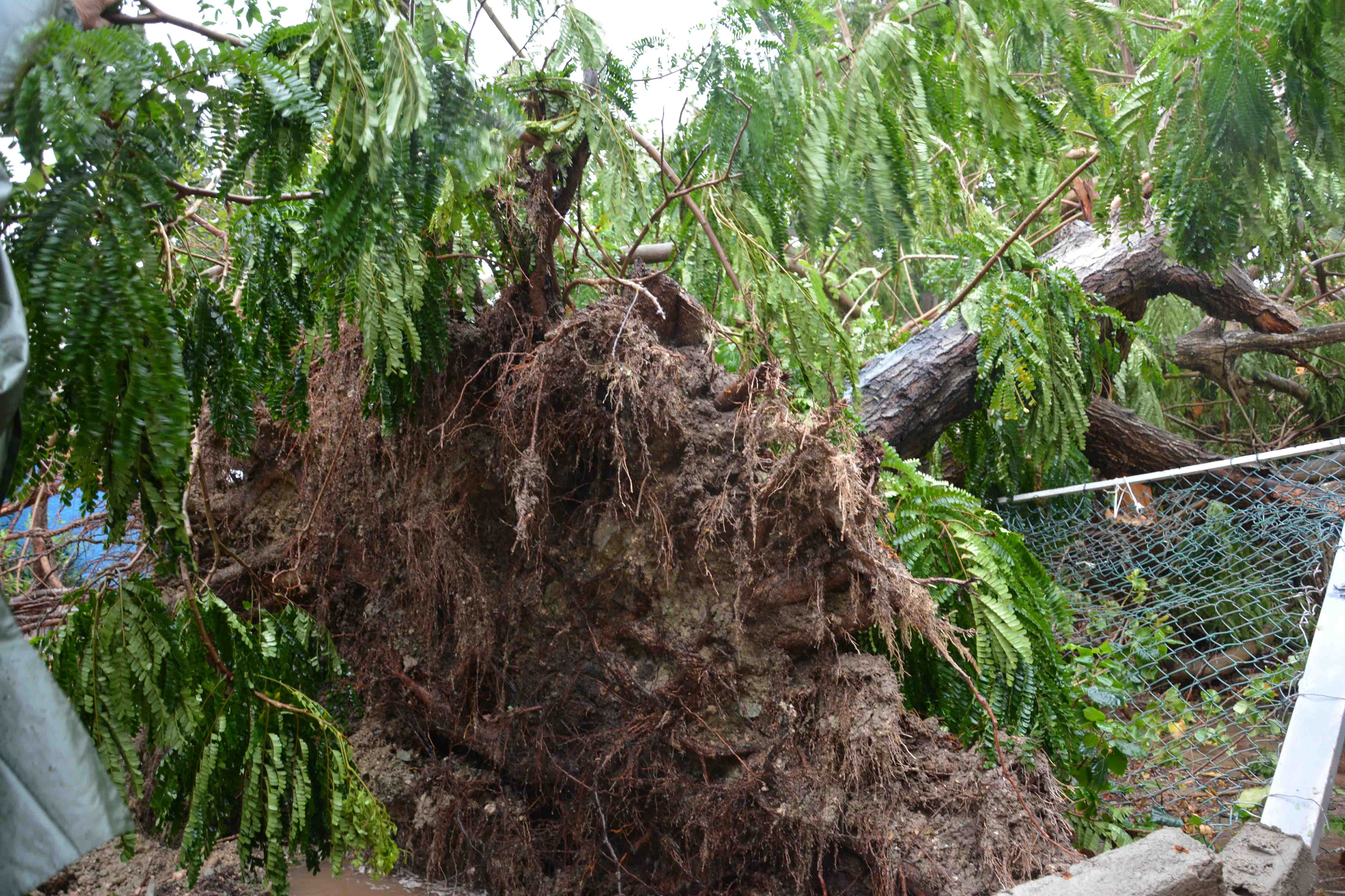 Irma causa severos daños en Camaguey (+ fotos y video)