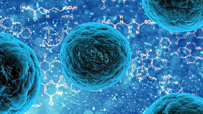 “Como un milagro”: Científicos sorprendidos por un nuevo método para rejuvenecer las células humanas “Como un milagro”: Científicos sorprendidos por un nuevo método para rejuvenecer las células humanas