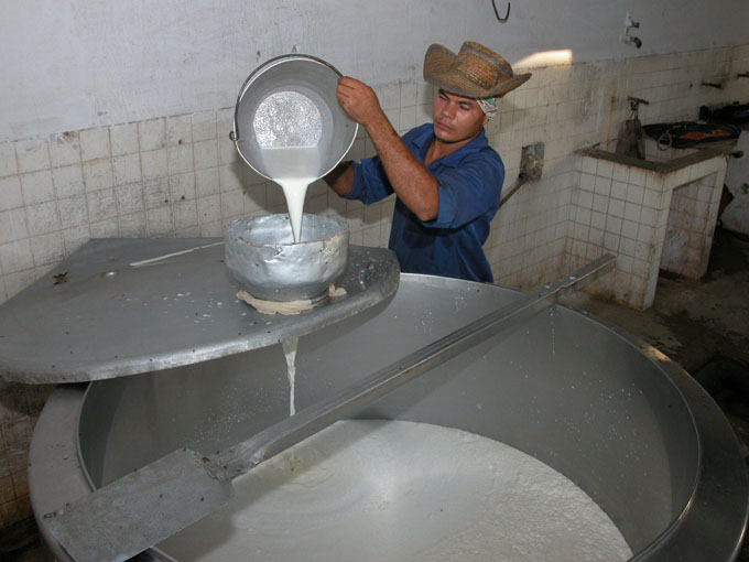 Exceden plan en producción de leche de vaca