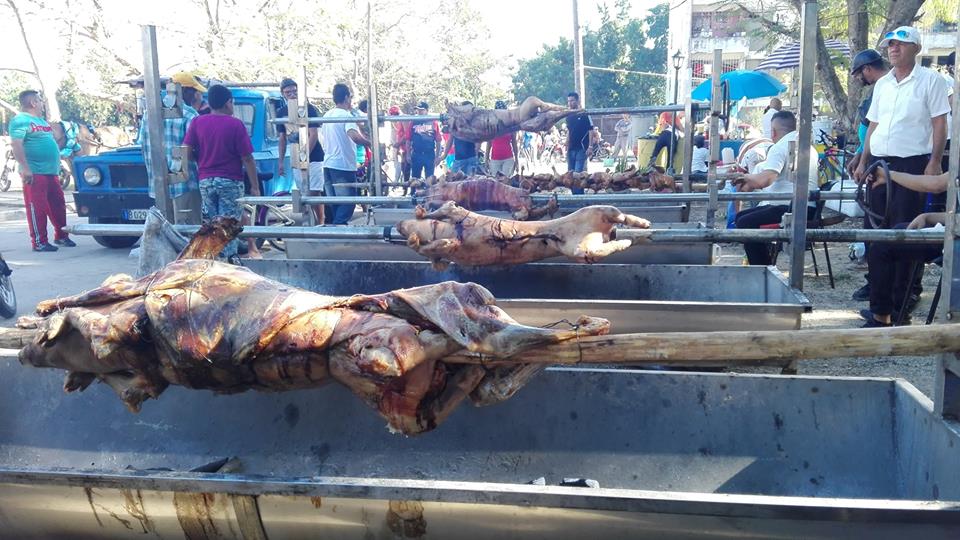 El Bosque manzanillero con la feria de fin de año (+ fotos)