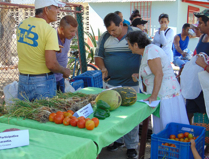 Promueven en Cauto Cristo producción de alimentos orgánicos Promueven en Cauto Cristo producción de alimentos orgánicos