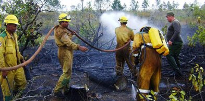 Incendio impacta en 200 hectáreas de bosques en Pinar del Río Incendio impacta en 200 hectáreas de bosques en Pinar del Río