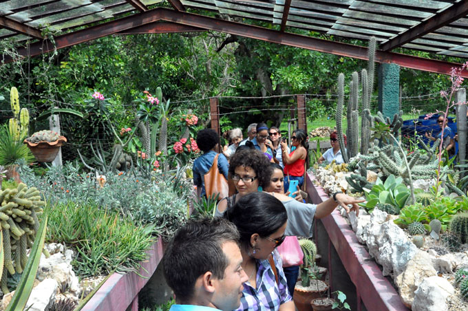 Jardín Botánico Cupaynicú: el verde que enamora (+ videos) Jardín Botánico Cupaynicú: el verde que enamora (+ videos)