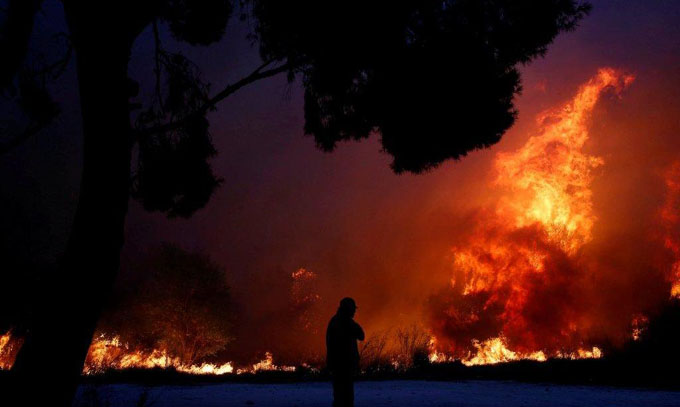 Incendios forestales en Grecia dejan más de 50 muertos (+ fotos y videos)