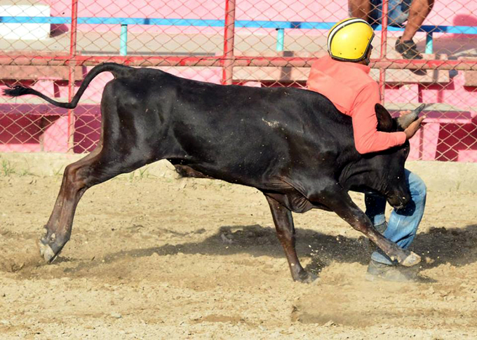Feria Agropecuaria Granma 2018: espacio para el aprendizaje (+ fotos) Feria Agropecuaria Granma 2018: espacio para el aprendizaje (+ fotos)