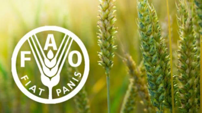 FAO presenta primer informe sobre estado de la biodiversidad FAO presenta primer informe sobre estado de la biodiversidad